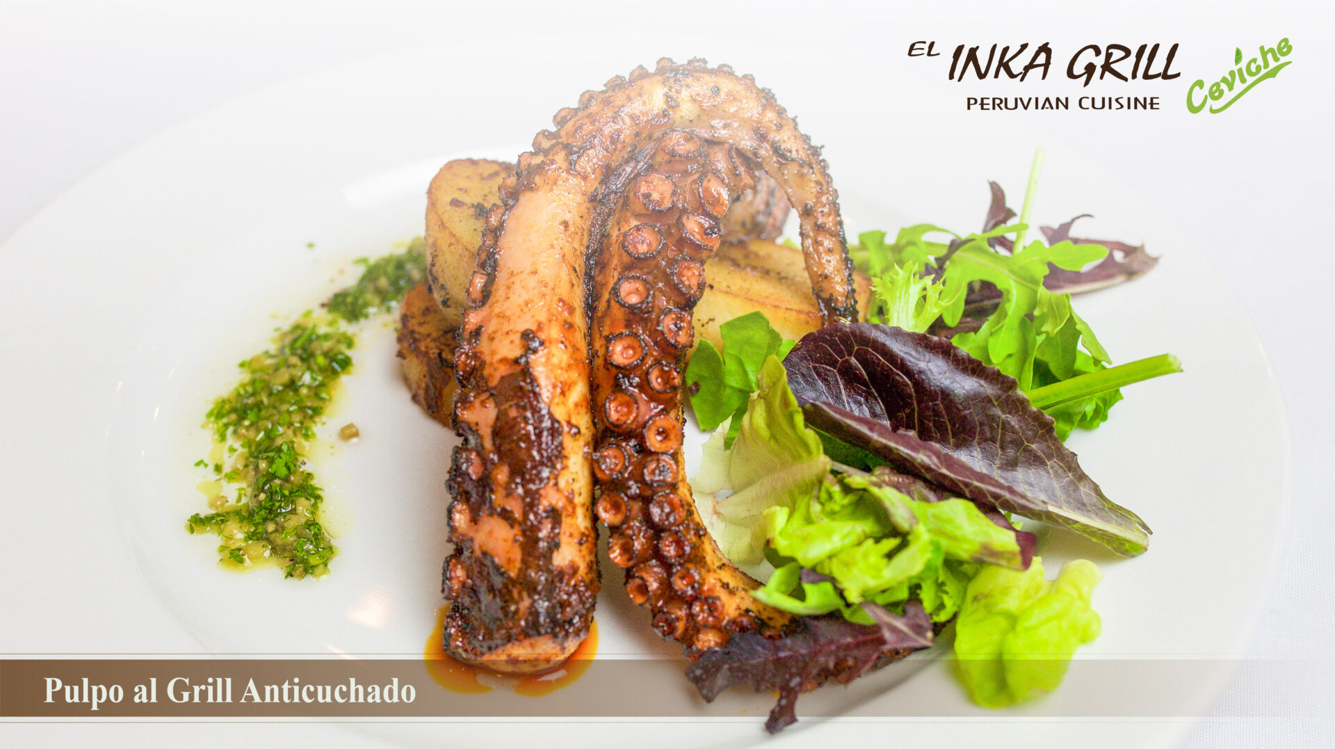 A plate of food with octopus and salad.